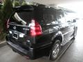 Black Onyx - GX 470 Photo No. 4
