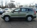 2007 Green Tea Metallic Honda CR-V LX 4WD  photo #8