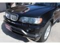 2003 Black Sapphire Metallic BMW X5 4.6is  photo #18