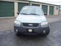 2006 Titanium Green Metallic Ford Escape XLT V6 4WD  photo #2