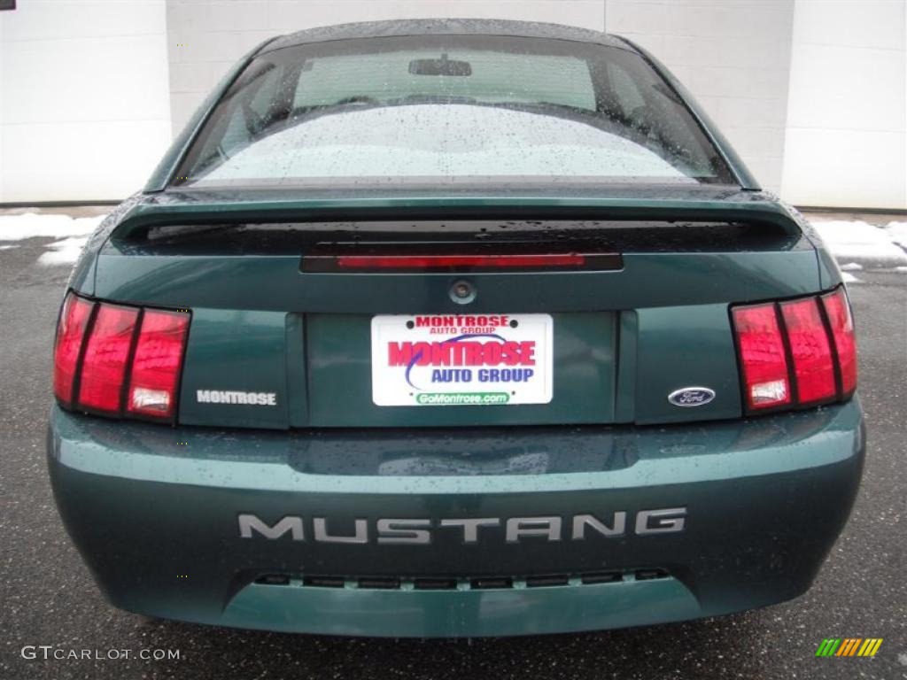 2000 Mustang V6 Coupe - Amazon Green Metallic / Medium Graphite photo #8