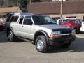 2002 Light Pewter Metallic Chevrolet S10 LS Extended Cab 4x4  photo #1