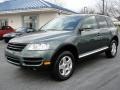 Reed Green Metallic - Touareg V6 Photo No. 2