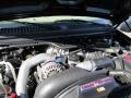 6.0 Liter OHV 32 Valve Power Stroke Turbo Diesel V8 Engine for 2006 Ford F250 Super Duty King Ranch Crew Cab 4x4 #46625398