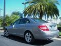 2008 Palladium Silver Metallic Mercedes-Benz C 300 Luxury  photo #8