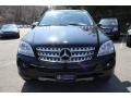 Black - ML 350 4Matic Photo No. 2