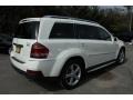 Arctic White - GL 450 4Matic Photo No. 6