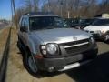 2003 Silver Ice Metallic Nissan Xterra XE V6  photo #2