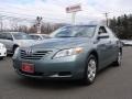 Aloe Green Metallic - Camry LE Photo No. 1