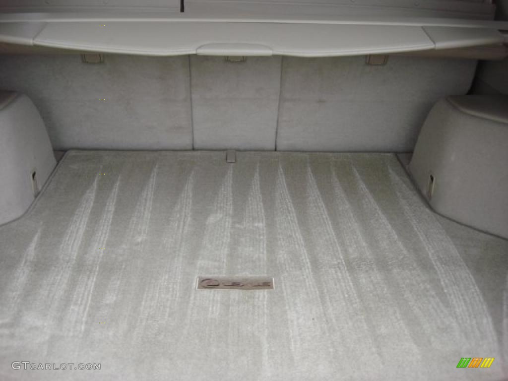 2009 Lexus RX 350 AWD Trunk Photo #46642424