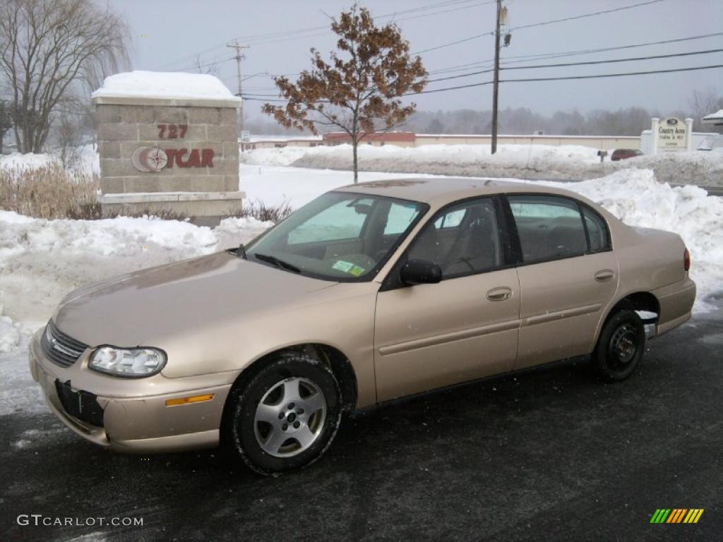 2004 Classic  - Light Driftwood Metallic / Beige photo #1