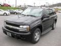 Black - TrailBlazer LS 4x4 Photo No. 2