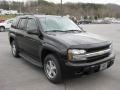 Black - TrailBlazer LS 4x4 Photo No. 4