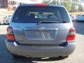 Bluestone Metallic - Highlander I4 Photo No. 5