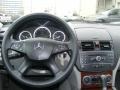 Steel Grey Metallic - C 300 4Matic Luxury Photo No. 16
