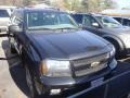 2008 Black Granite Metallic Chevrolet TrailBlazer LT  photo #1