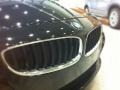 2010 Jet Black BMW Z4 sDrive30i Roadster  photo #4