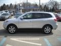 Bright Silver - Santa Fe SE 4WD Photo No. 6
