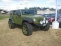 Jeep Green Metallic 2007 Jeep Wrangler Unlimited Rubicon 4x4 Exterior