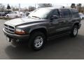 Graphite Metallic - Durango SLT 4x4 Photo No. 5