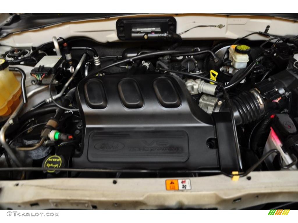 2004 Ford Escape XLT V6 4WD 3.0L DOHC 24 Valve V6 Engine Photo #46673333