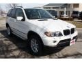 Alpine White - X5 3.0i Photo No. 1