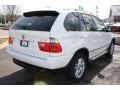 Alpine White - X5 3.0i Photo No. 7
