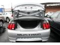 2002 Satin Silver Metallic Ford Mustang GT Coupe  photo #8