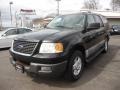 Black Clearcoat - Expedition XLT 4x4 Photo No. 1