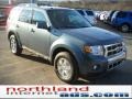 2011 Steel Blue Metallic Ford Escape Limited V6 4WD  photo #4
