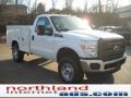 Oxford White - F350 Super Duty XL Regular Cab 4x4 Chassis Photo No. 4