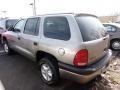 Bright Platinum Metallic - Durango SLT 4x4 Photo No. 3