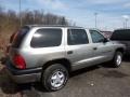 Bright Platinum Metallic - Durango SLT 4x4 Photo No. 5