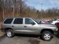 Bright Platinum Metallic - Durango SLT 4x4 Photo No. 6
