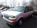 1993 Warm Silver Pearl Metallic Dodge Grand Caravan   photo #3