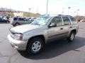 Light Pewter Metallic - TrailBlazer LS 4x4 Photo No. 3