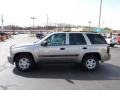 Light Pewter Metallic - TrailBlazer LS 4x4 Photo No. 4