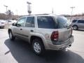 Light Pewter Metallic - TrailBlazer LS 4x4 Photo No. 5