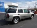 Light Pewter Metallic - TrailBlazer LS 4x4 Photo No. 10