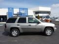 Light Pewter Metallic - TrailBlazer LS 4x4 Photo No. 11