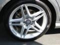 2010 Mercedes-Benz C 350 Sport Wheel and Tire Photo