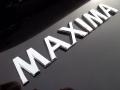 2011 Nissan Maxima 3.5 SV Sport Marks and Logos