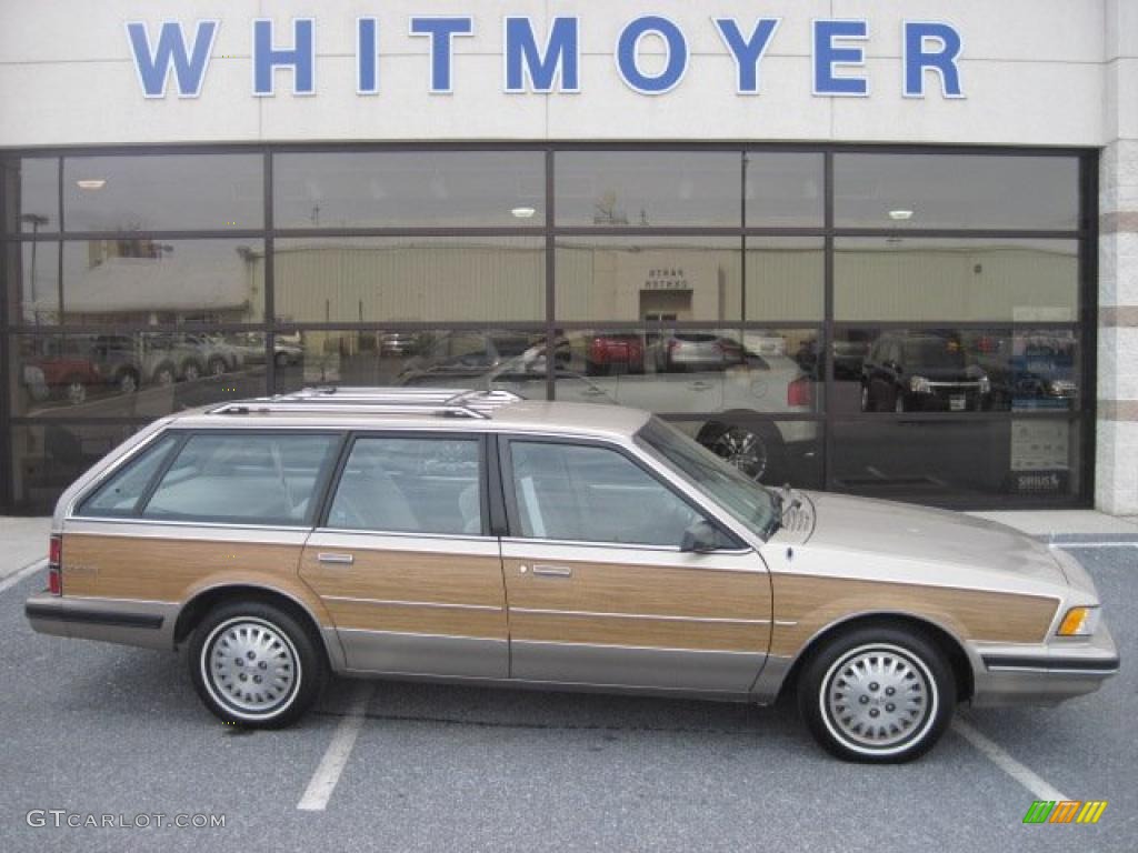 Light Driftwood Metallic Buick Century