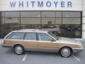 1996 Light Driftwood Metallic Buick Century Special Wagon #46654303