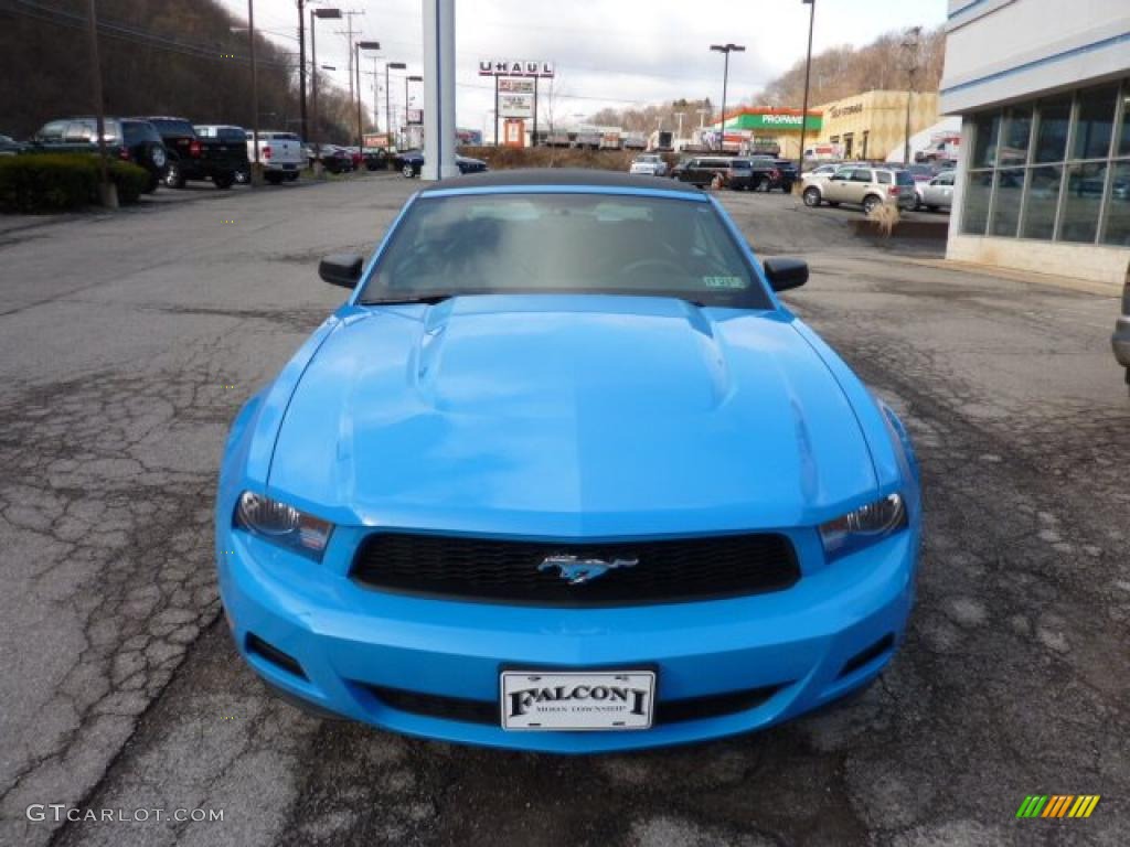 2010 Mustang V6 Premium Convertible - Grabber Blue / Charcoal Black photo #6