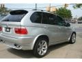 2004 Titanium Silver Metallic BMW X5 4.8is  photo #3