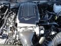 4.6 Liter SOHC 24-Valve VVT V8 Engine for 2008 Ford Mustang GT Premium Coupe #46699215