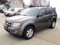 2009 Sterling Grey Metallic Ford Escape XLT V6  photo #1