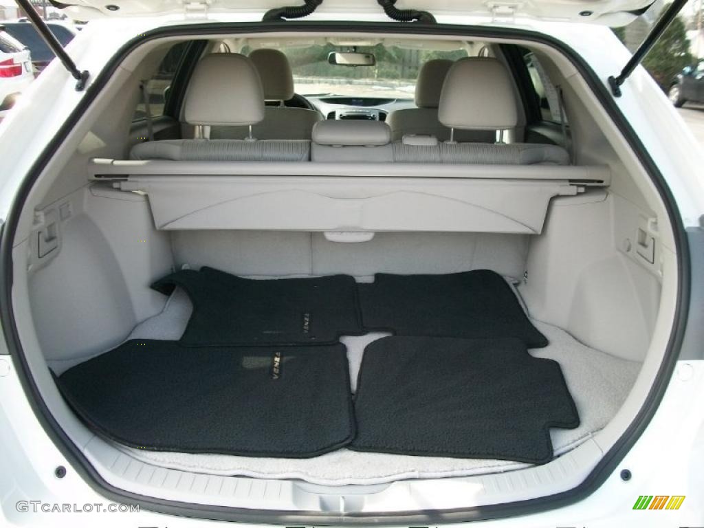 2010 Toyota Venza I4 Trunk Photo #46700619