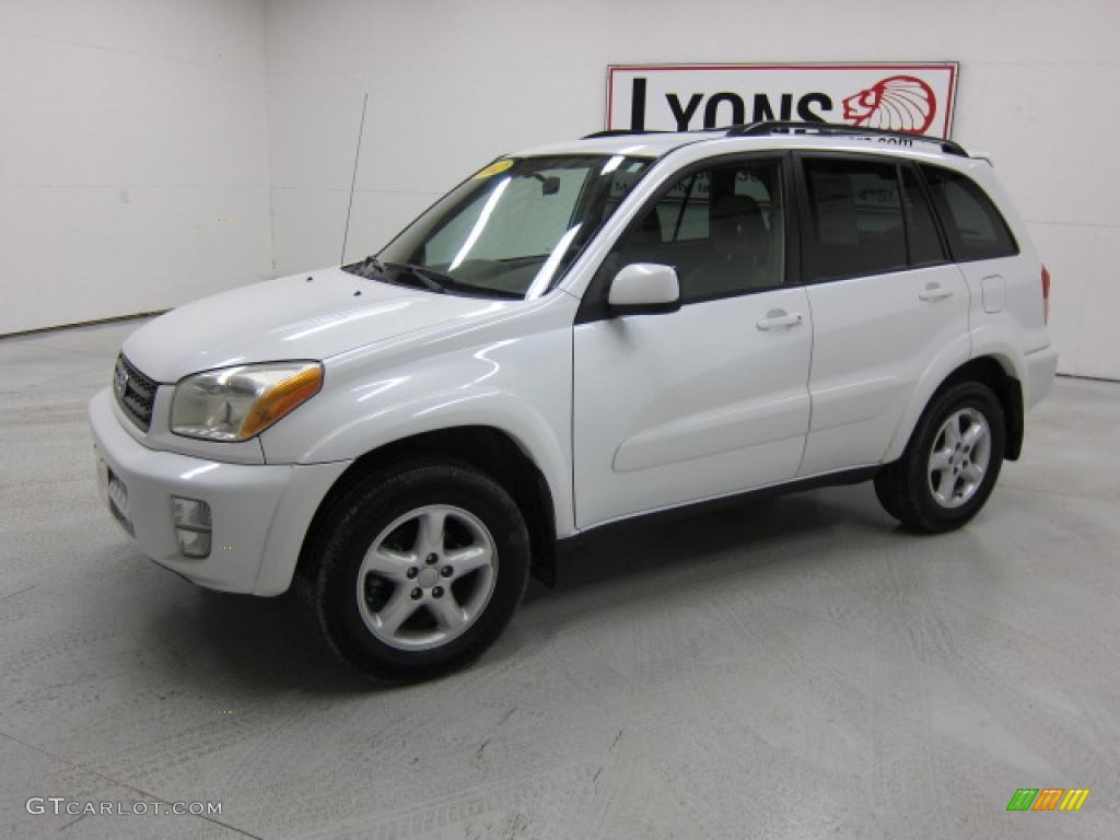 2002 RAV4 4WD - Natural White / Gray photo #31